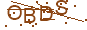 驗證碼 OBDS